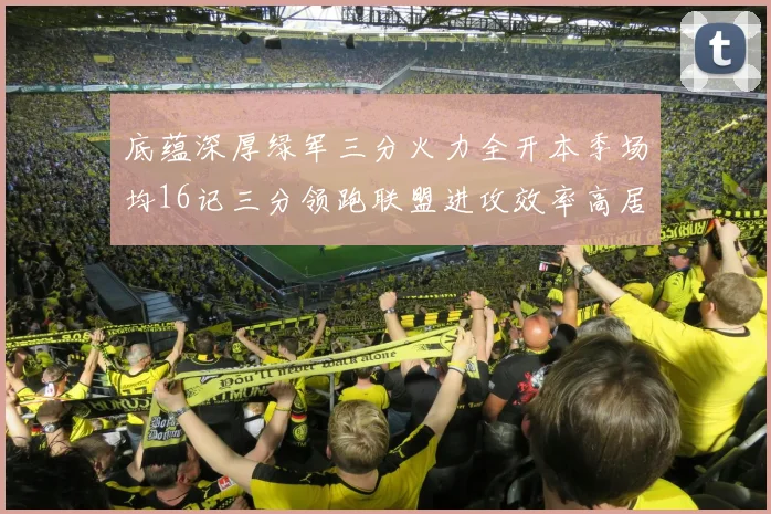 底蕴深厚绿军三分火力全开本季场均16记三分领跑联盟进攻效率高居第二