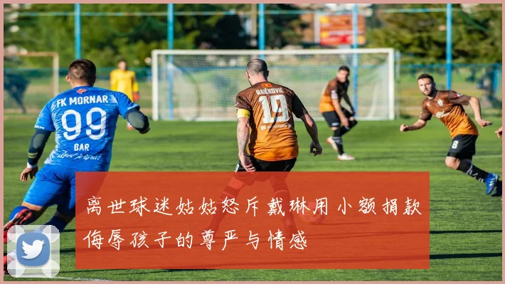 离世球迷姑姑怒斥戴琳用小额捐款侮辱孩子的尊严与情感