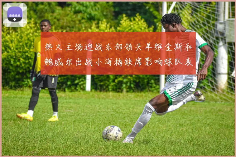 热火主场迎战东部领头羊维金斯和鲍威尔出战小海梅缺席影响球队表现