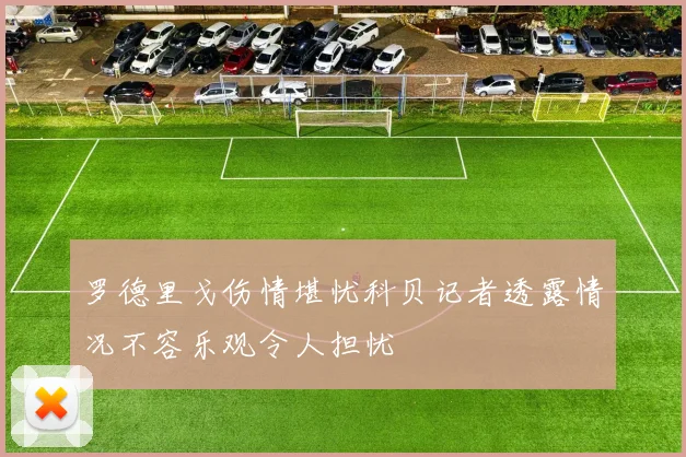 罗德里戈伤情堪忧科贝记者透露情况不容乐观令人担忧