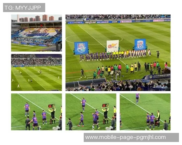 艾菲尔丁迎职业生涯百场里程碑亚泰客场战平津门虎 艾菲尔丁迎职业生涯百场里程碑亚泰客场战平津门虎